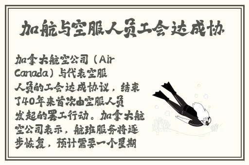 人人干人人操精品